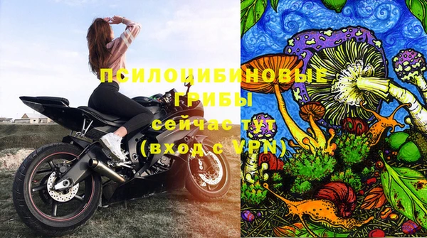 а пвп мука Армянск