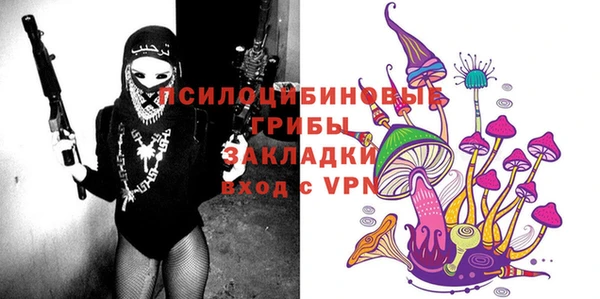 СК Лиски