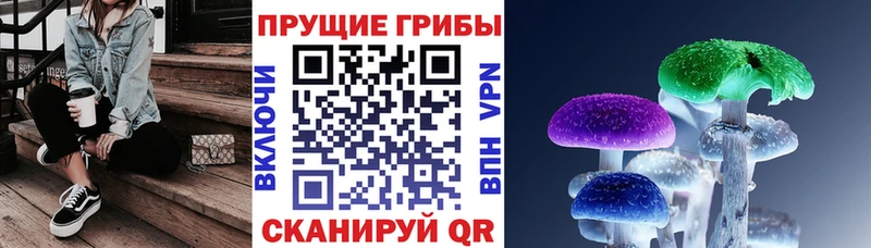 закладка  Новомосковск  Псилоцибиновые грибы Cubensis 